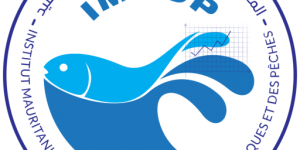 Participation de chercheurs de l’IMROP a la campagne de marquage des thonidés tropicaux dans l’océan Atlantique (ICCAT/ ATTOP) réalisée a bord du navire AitaFraxku